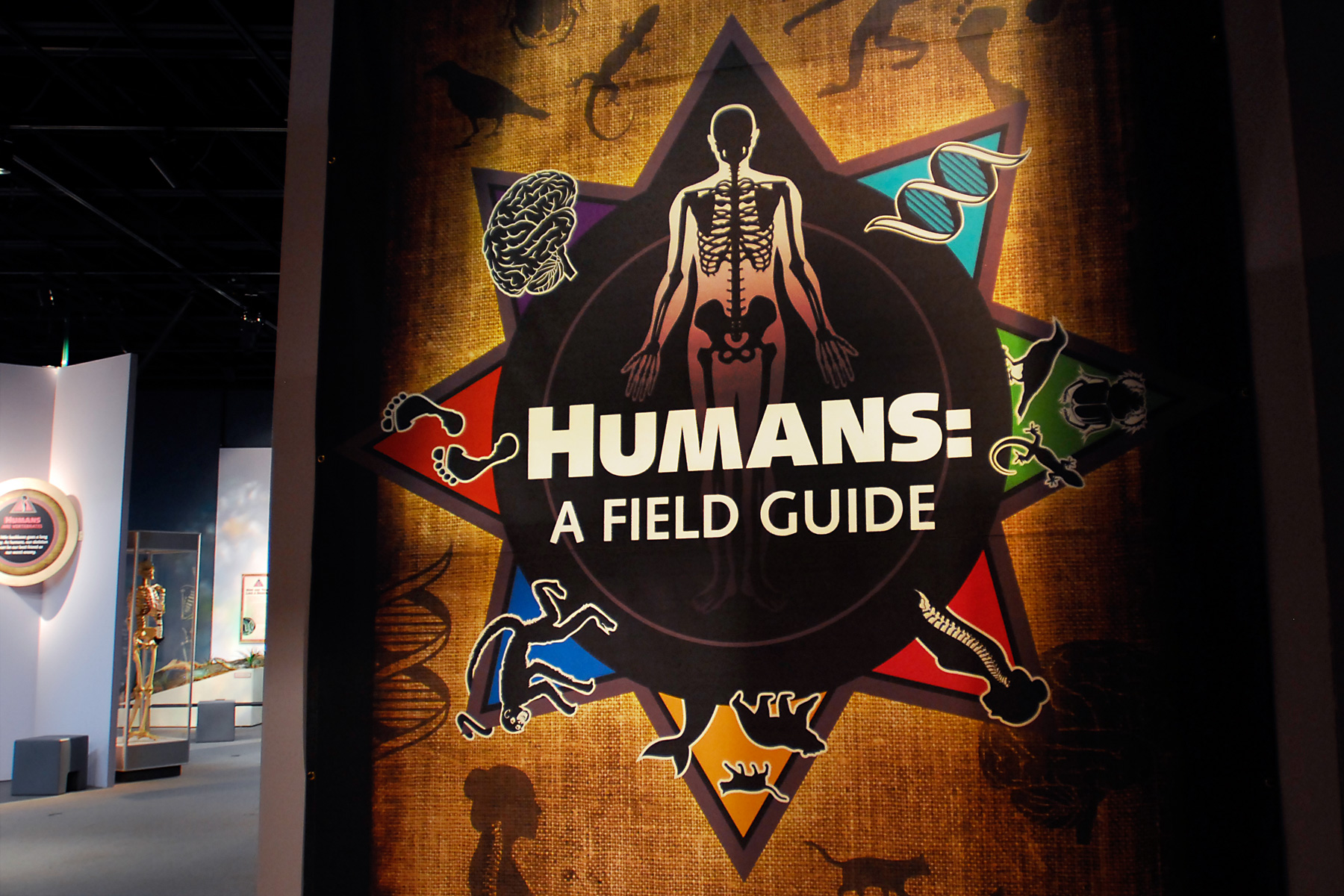 CMNH Exhibit logo design