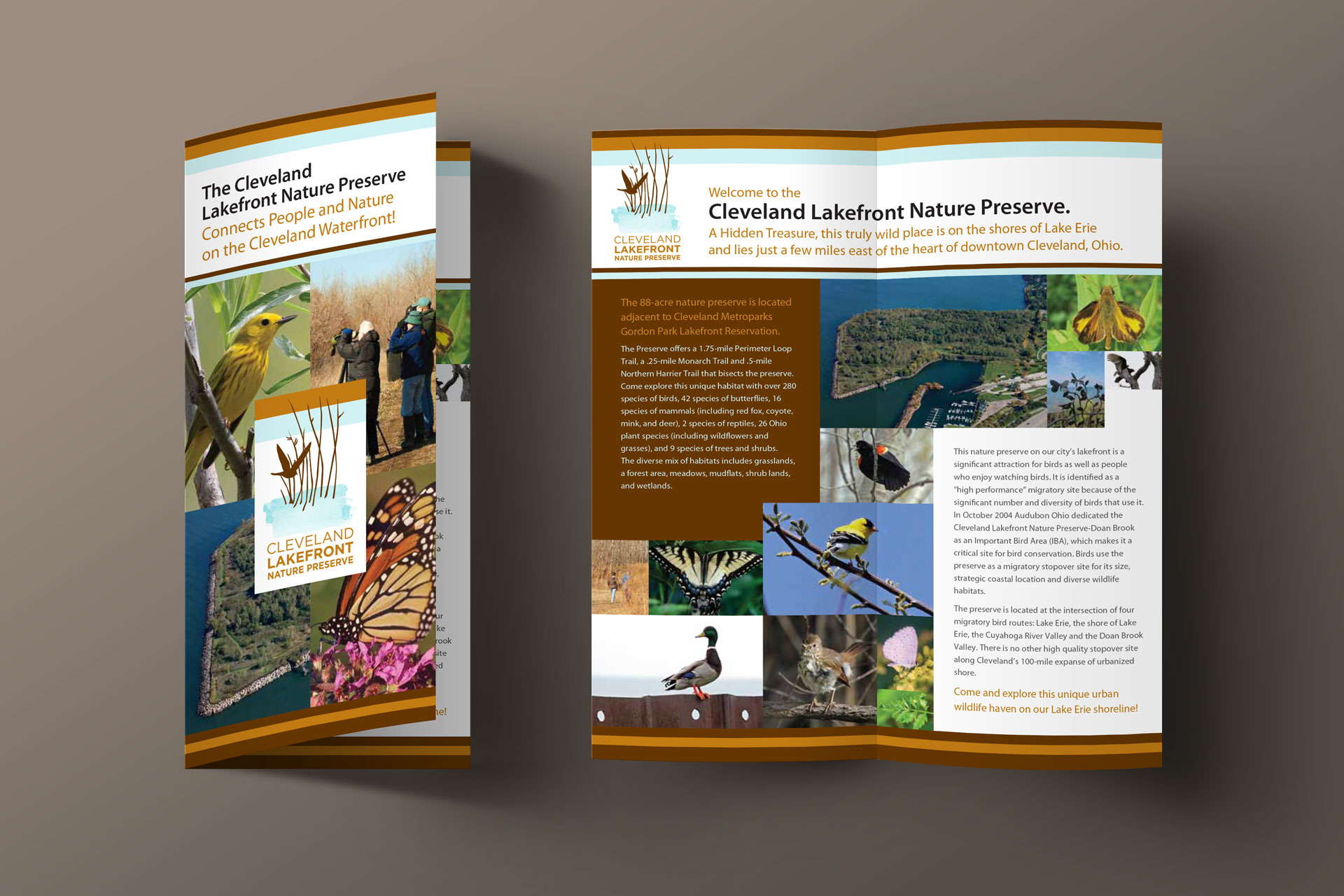 Krizman brochure design